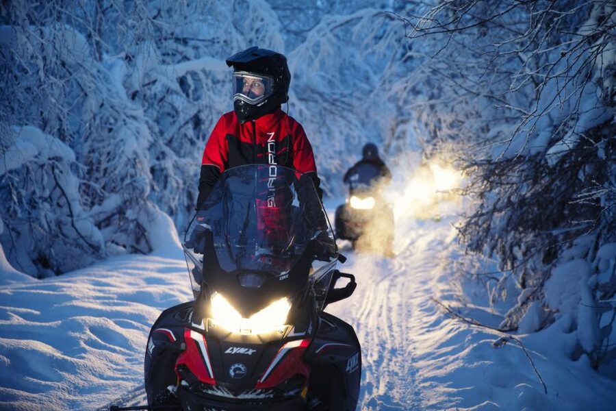 Rovaniemi: Northern Lights Snowmobile Tour - Price and value: why $218 can make sense here