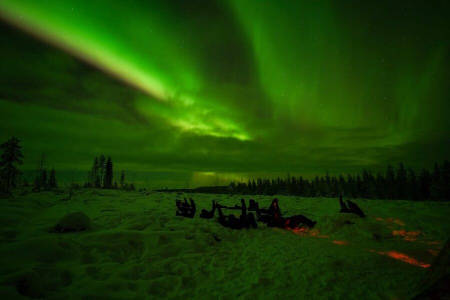 Rovaniemi: Northern Lights Tour at the Campfire - From Your Doorstep to the Forest Campfire