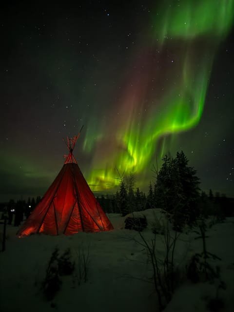 Rovaniemi: Northern Lights Tour at the Campfire - Entering the Private Camp: Firelight, Sky Time, and Quiet