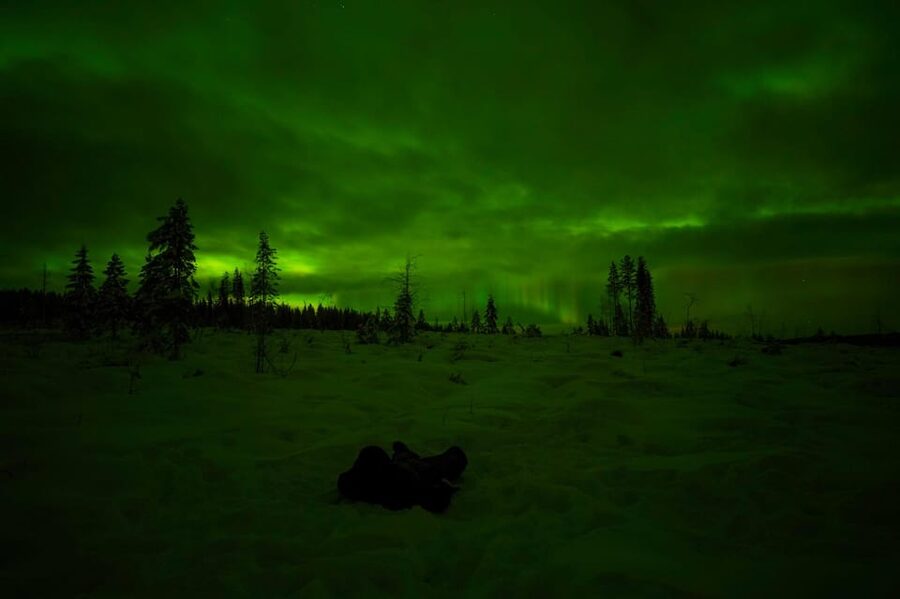 Rovaniemi: Northern Lights Tour at the Campfire - The Van Ride, Timing, and Why 3 Hours Works