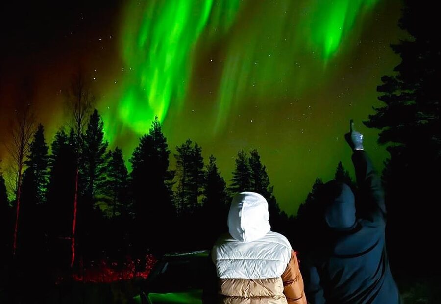 Rovaniemi: Northern Lights Tour with BBQ - Key things to know before you go