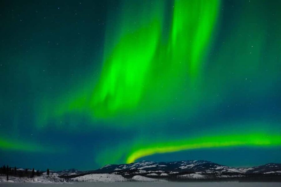 Rovaniemi: Northern Lights Tour with BBQ - Guide vibe and group experience in the real world