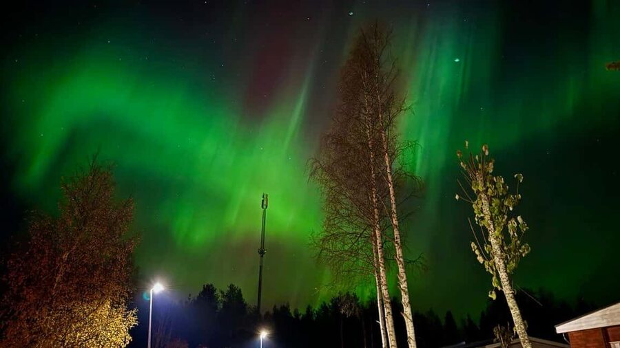 Rovaniemi: Northern Lights Tour with BBQ - Price and value: is $85 worth it?