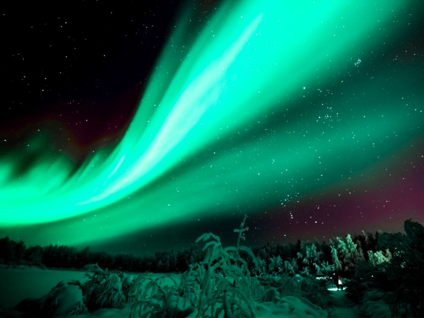 Rovaniemi: Northern Lights Tour with Guaranteed Sightings - Key things that make this tour different