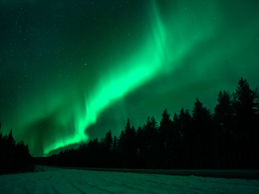 Rovaniemi: Northern Lights Tour with Guaranteed Sightings - Guaranteed Northern Lights viewing in practice, not just marketing