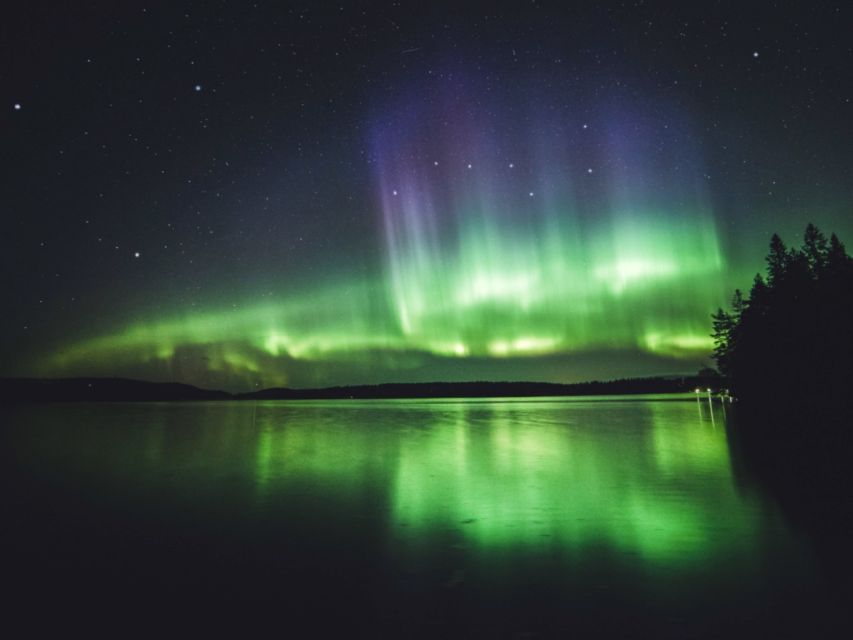 Rovaniemi: Northern Lights Tour with Guaranteed Sightings - What the night feels like, pickup, multiple stops, and the long wait