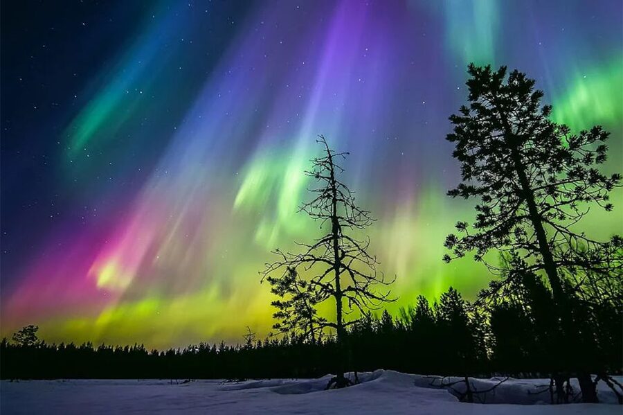 Rovaniemi: Northern Lights Trip with Arctic Sauna & Jacuzzi - Who This Northern Lights Sauna and Jacuzzi Tour Is For