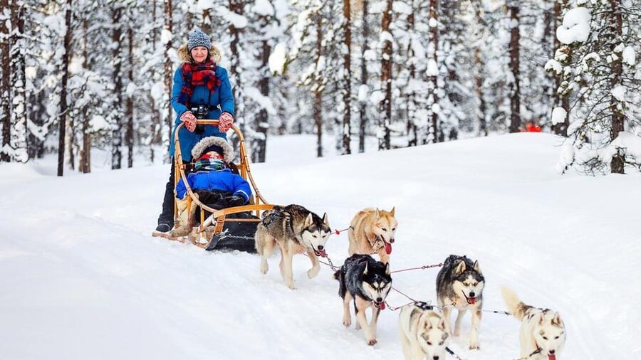 Rovaniemi: One Hour Husky Experience - H2: Why the Ride Length Can Be a Feature, Not a Bug