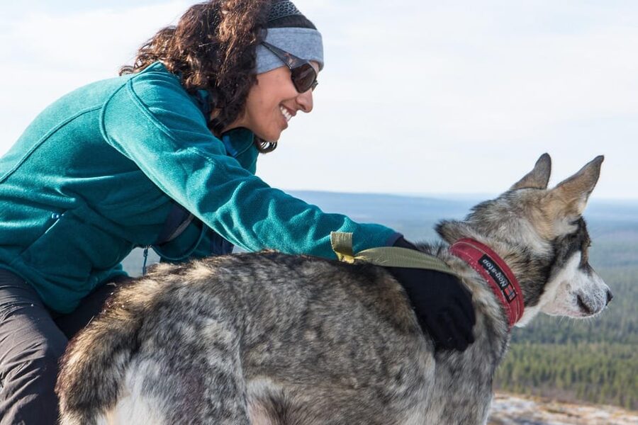 Rovaniemi: One Hour Husky Experience - H2: At the Farm, You Get Safety Tips and a Quick Start