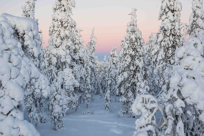 Rovaniemi photography tour - The guides: where names like Alexis and Oren fit in