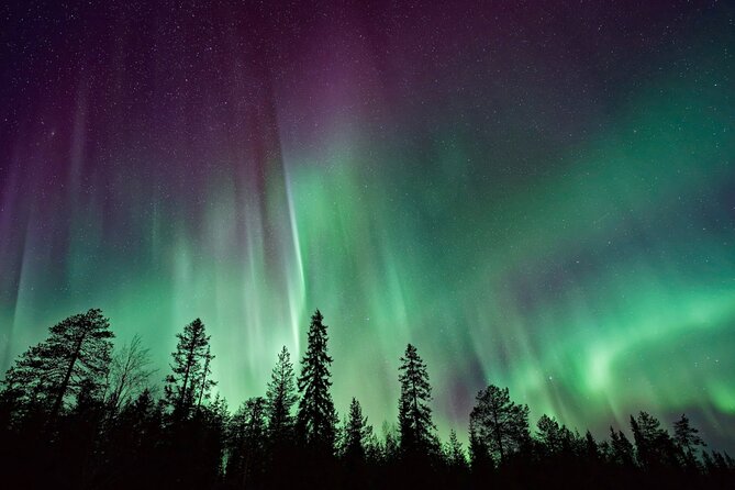 Rovaniemi: Private Aurora Tour with Guaranteed Sightings - Stop 1 in Rovaniemi: what the Aurora hunting time feels like on the ground