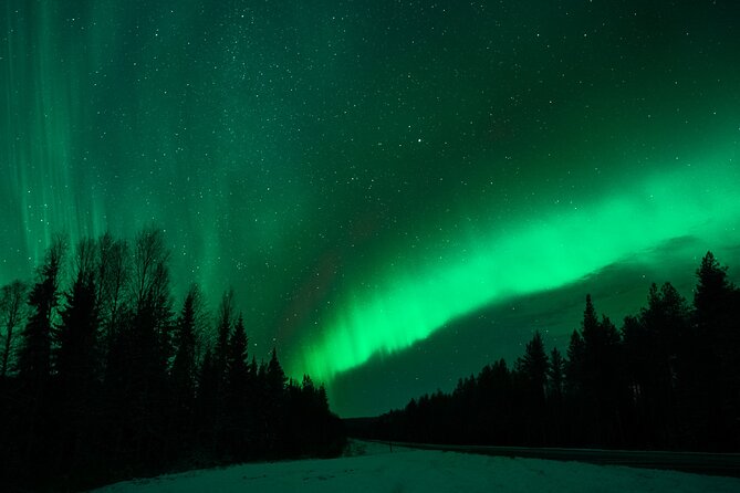 Rovaniemi: Private Aurora Tour with Guaranteed Sightings - Price and value: what $349.51 per person really buys you