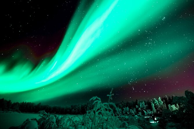 Rovaniemi: Private Aurora Tour with Guaranteed Sightings - The van time is not wasted time