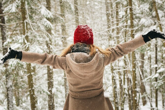 Rovaniemi: Private Winter Wonderland Photoshoot Tour - Pickup and a mobile ticket that keeps things simple