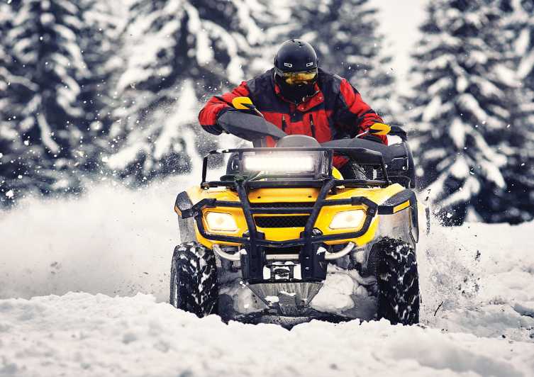 Rovaniemi: Quad Bike Ride and Ice Fishing - Rovaniemi Arctic Circle Day Plan: ATV for About an Hour, Ice Fishing, Then Fire-Side BBQ