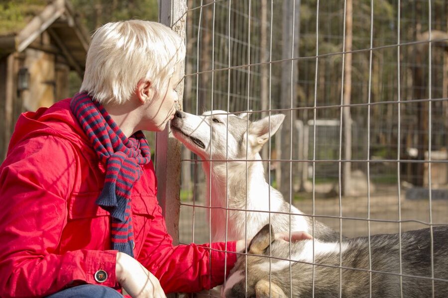 Rovaniemi: Quad Bike Safari, Reindeer & Husky Farm Visit - Entering the Arctic Circle, right from Nordic Unique Travels
