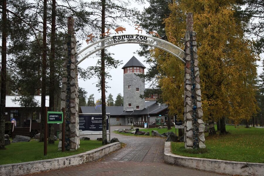 Rovaniemi: Ranua’s Wildlife Park Ticket with Transportation - First Views at Ranua: Photo Stops and a Guided Start