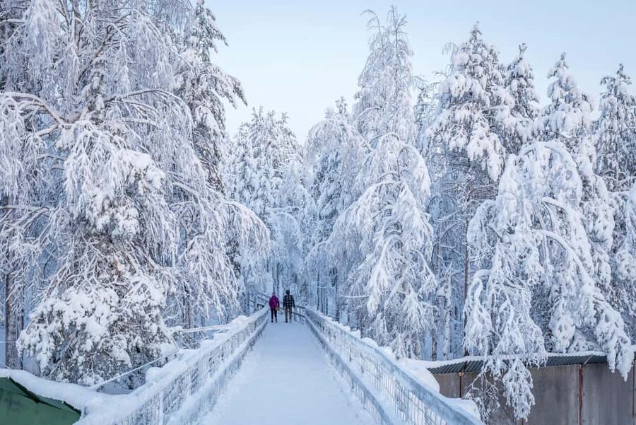 Rovaniemi: Ranua Zoo Wildlife Park Tour with hotel pickup - Should you book Ranua Zoo Wildlife Park with hotel pickup?