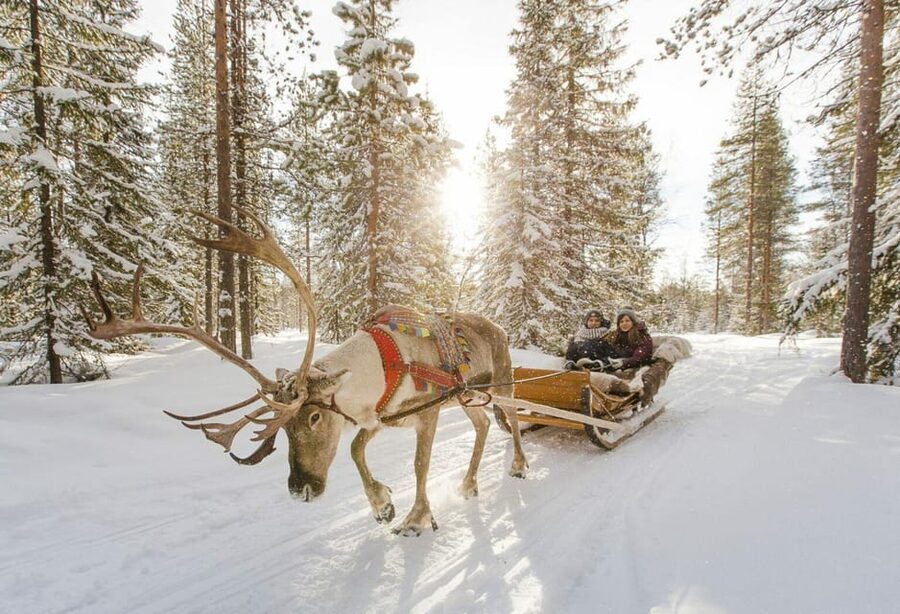 Rovaniemi: Reindeer Farm Visit and Sleigh Ride with transfer - Who This Tour Suits Best in Rovaniemi