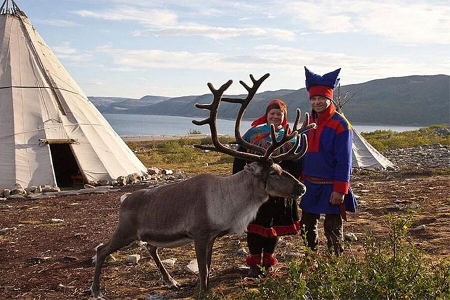Rovaniemi: Reindeer Farm Visit in the Summer - Meeting Local Herders and Learning Lappish Reindeer Culture