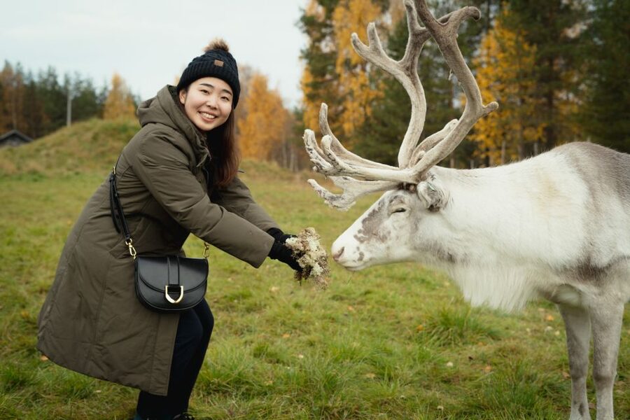 Rovaniemi: Reindeer Farm Visit with Photographer - Entering Lapland for real, at a working reindeer farm