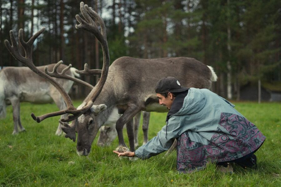 Rovaniemi: Reindeer Farm Visit with Photographer - The photographer angle: how you end up with usable photos