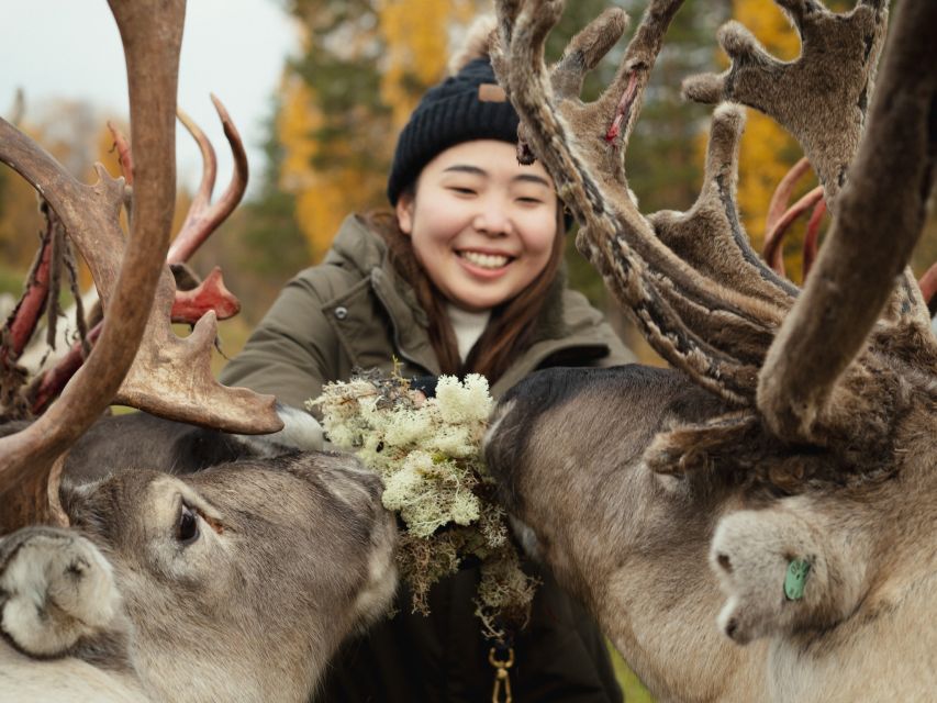 Rovaniemi: Reindeer Farm Visit with Photographer - Who should book this reindeer farm with photographer