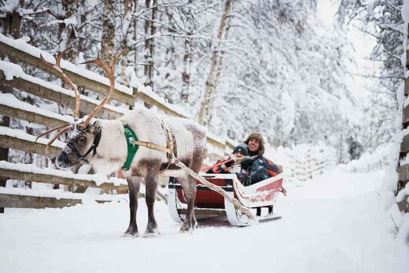 Rovaniemi: Reindeer, Huskies & Santa Claus Village - Key things you should know before you go