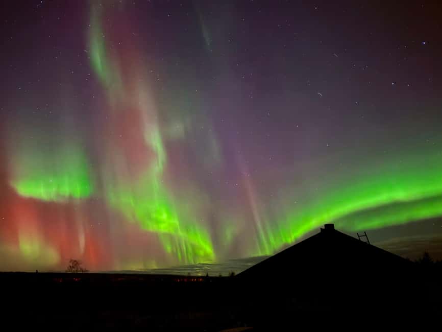 Rovaniemi: Reindeer, Huskies, Santa's Pets & Aurora Hunt - Free time after lunch: what you can do with that 12:30 window