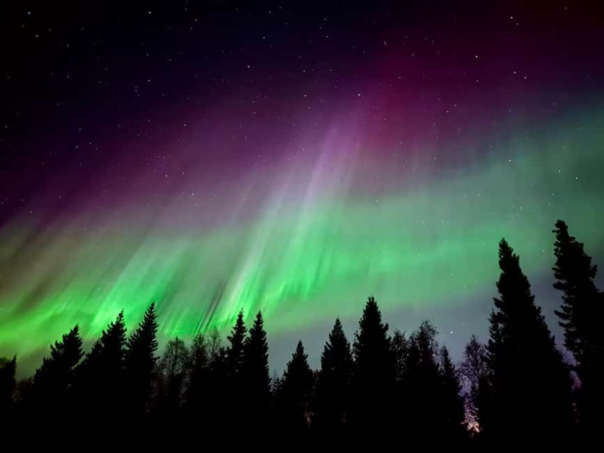 Rovaniemi: Reindeer, Huskies, Santa's Pets & Aurora Hunt - Evening aurora hunt from Rovaniemi: two spots, one mission