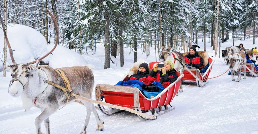 Rovaniemi: Reindeer Sleigh Ride with Hot Drink and Cookies - A 1.5km Frozen-Forest Sleigh Ride That Actually Feels Like Lapland