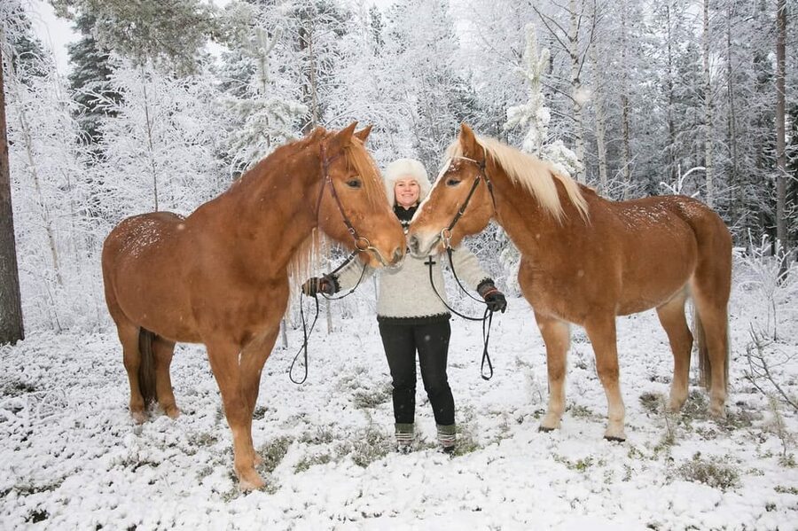 Rovaniemi: Riding Tour with Finnhorses at SCV - Practical tips so you stay comfortable (and actually enjoy it)