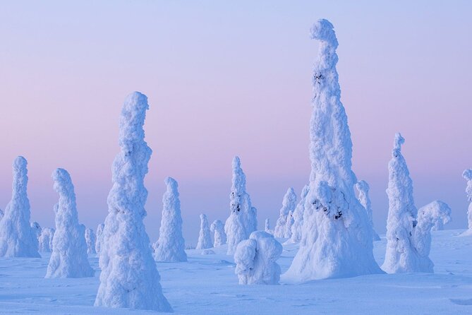 Rovaniemi: Riisitunturi Full-Day Wilderness Adventure & BBQ - Riisitunturi National Park is the star of the show