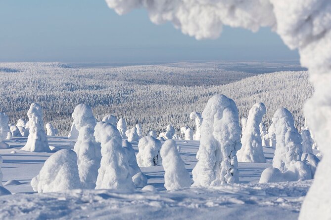 Rovaniemi: Riisitunturi Full-Day Wilderness Adventure & BBQ - What value you are really paying for at $336.27