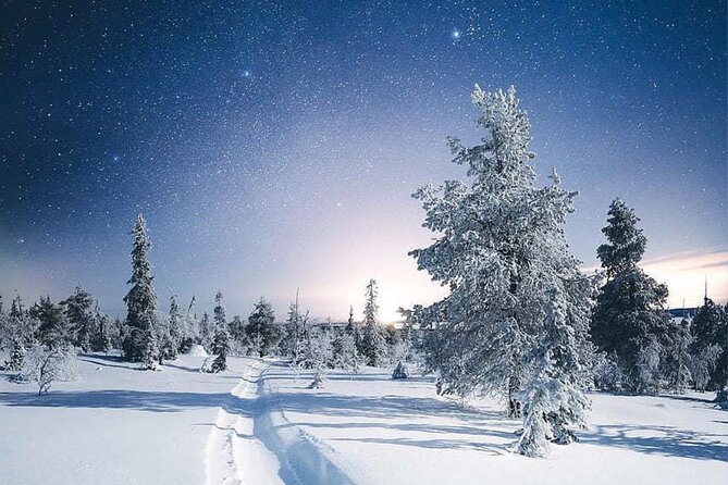 Rovaniemi: Riisitunturi Full-Day Wilderness Adventure & BBQ - The pace of an 8-hour winter day starting at 8:00 am