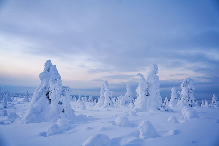 Rovaniemi: Riisitunturi National Park Day Trip with Lunch - Riisitunturi National Park: what makes this winter hike special