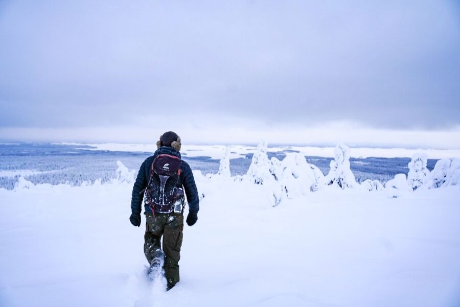 Rovaniemi: Riisitunturi National Park Day Trip with Lunch - The 4 km walk: pacing, snowshoes, and finding the best viewpoints
