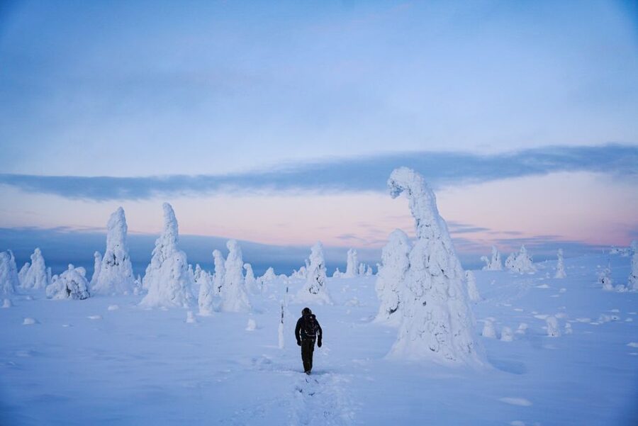 Rovaniemi: Riisitunturi National Park Day Trip with Lunch - Your guide: why the small group really matters