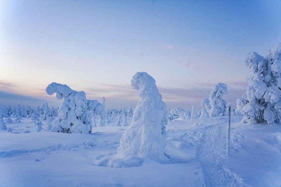 Rovaniemi: Riisitunturi National Park Day Trip with Lunch - Price and value: is $223 per person worth it