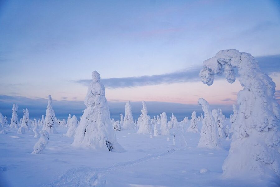 Rovaniemi: Riisitunturi National Park Day Trip with Lunch - Should you book Riisitunturi National Park with lunch?