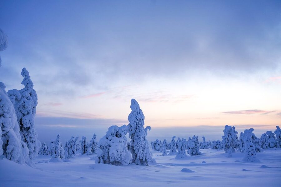 Rovaniemi: Riisitunturi National Park Day Trip with Lunch - The morning drive from Rovaniemi, and how to use that time well