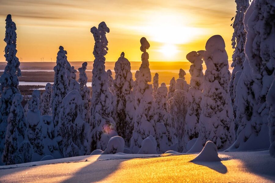 Rovaniemi: Riisitunturi National Park with Pro Photos & BBQ - Riisitunturi National Park: what you are paying for