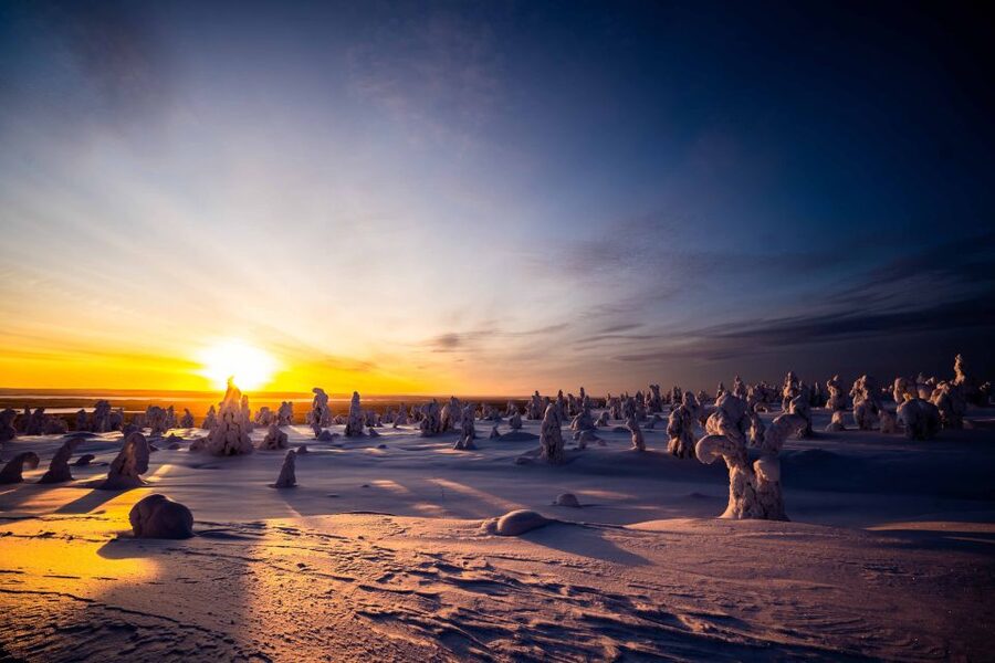 Rovaniemi: Riisitunturi National Park with Pro Photos & BBQ - Price and value: is $159 really fair for this kind of day