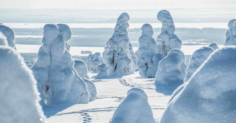 Rovaniemi: Riisitunturi National Park with Pro Photos & BBQ - Who should book this Riisitunturi with Pro Photos and BBQ