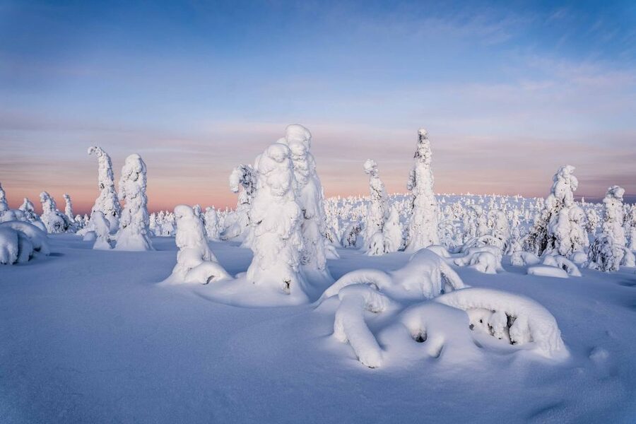 Rovaniemi: Riisitunturi National Park with Pro Photos & BBQ - A 9-hour loop from Rovaniemi that stays efficient