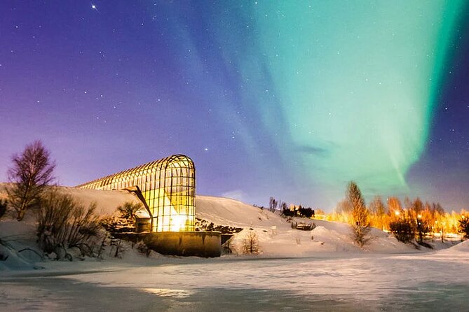 Rovaniemi Santa Claus Village Husky Reindeer Farm Arctic Museum - Santa Claus Village: the Arctic Circle moment, plus a real post office