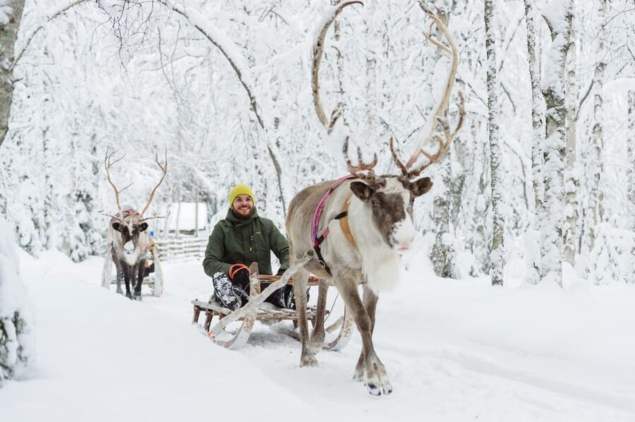 Rovaniemi: Santa Claus Village + Husky & Reindeer Sled Ride - Rovaniemi in a half-day: why this combo fits