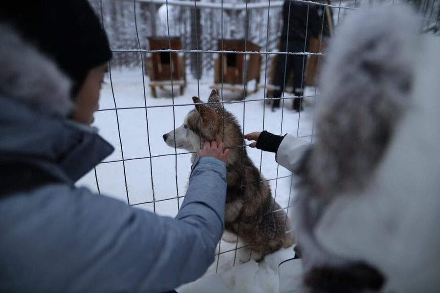 Rovaniemi: Santa Claus Village Tour Huskies & Reindeer ride - Entering Santa Claus Village for Real Lapland Atmosphere