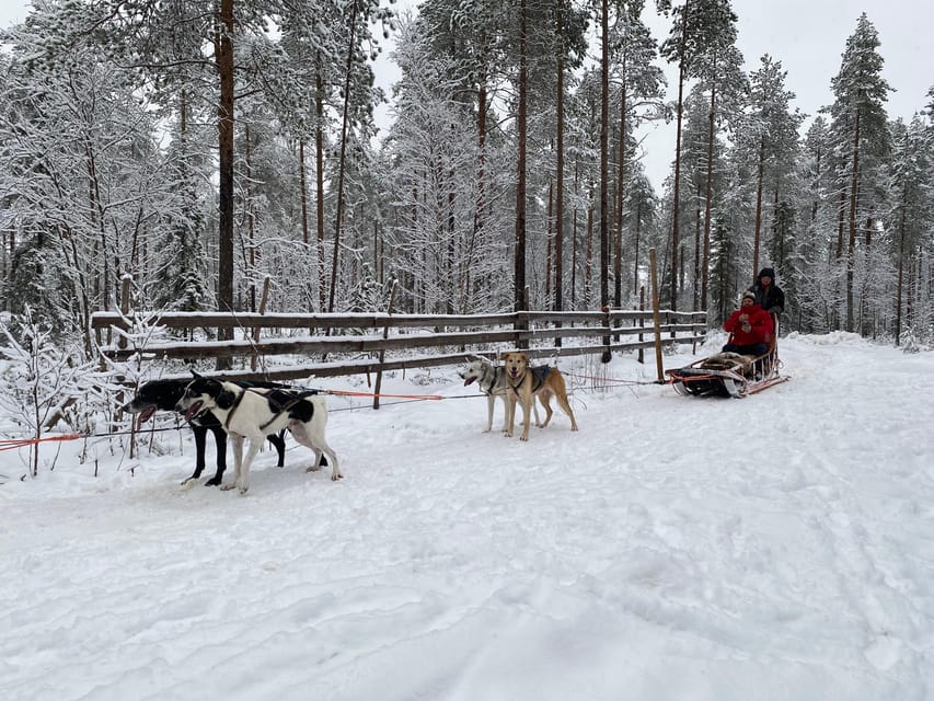 Rovaniemi: Santa Claus Village Tour Huskies & Reindeer ride - Reindeer Yard Visits: Feeding, Symbolism, and Culture