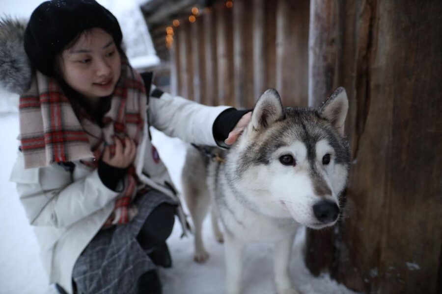 Rovaniemi: Santa Claus Village Tour Huskies & Reindeer Visit - Santa Claus Village, huskies, and reindeer in one easy 4.5-hour plan